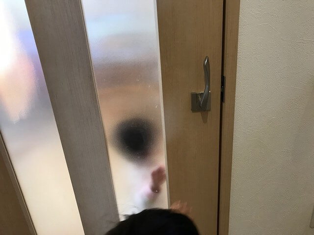 ドアの向こうで立ち尽くす1歳児